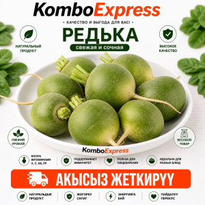 Редька